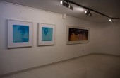 Beyond Blue | Aaran Art Gallery | Installation View