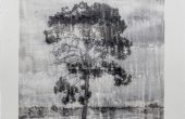 Image transferred on paper, Unique edition, 34×43 cm, 2019