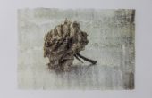 Image transferred on paper, Unique edition, 22×29 cm, 2019