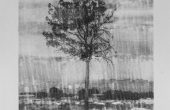 Image transferred on paper, Unique edition, 34×43 cm, 2019