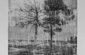 Image transferred on paper, Unique edition, 34×43 cm, 2019
