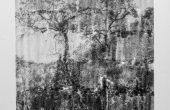 Image transferred on paper, Unique edition, 34×43 cm, 2019