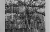 Image transferred on paper, Unique edition, 34×43 cm, 2019
