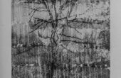 Image transferred on paper, Unique edition, 34×43 cm, 2019